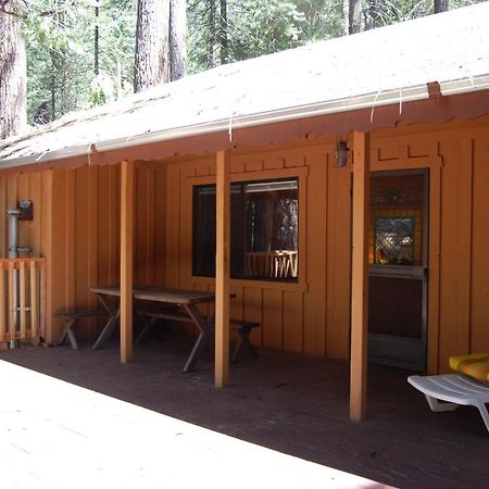 9S Pine Cabin South Wawona エクステリア 写真
