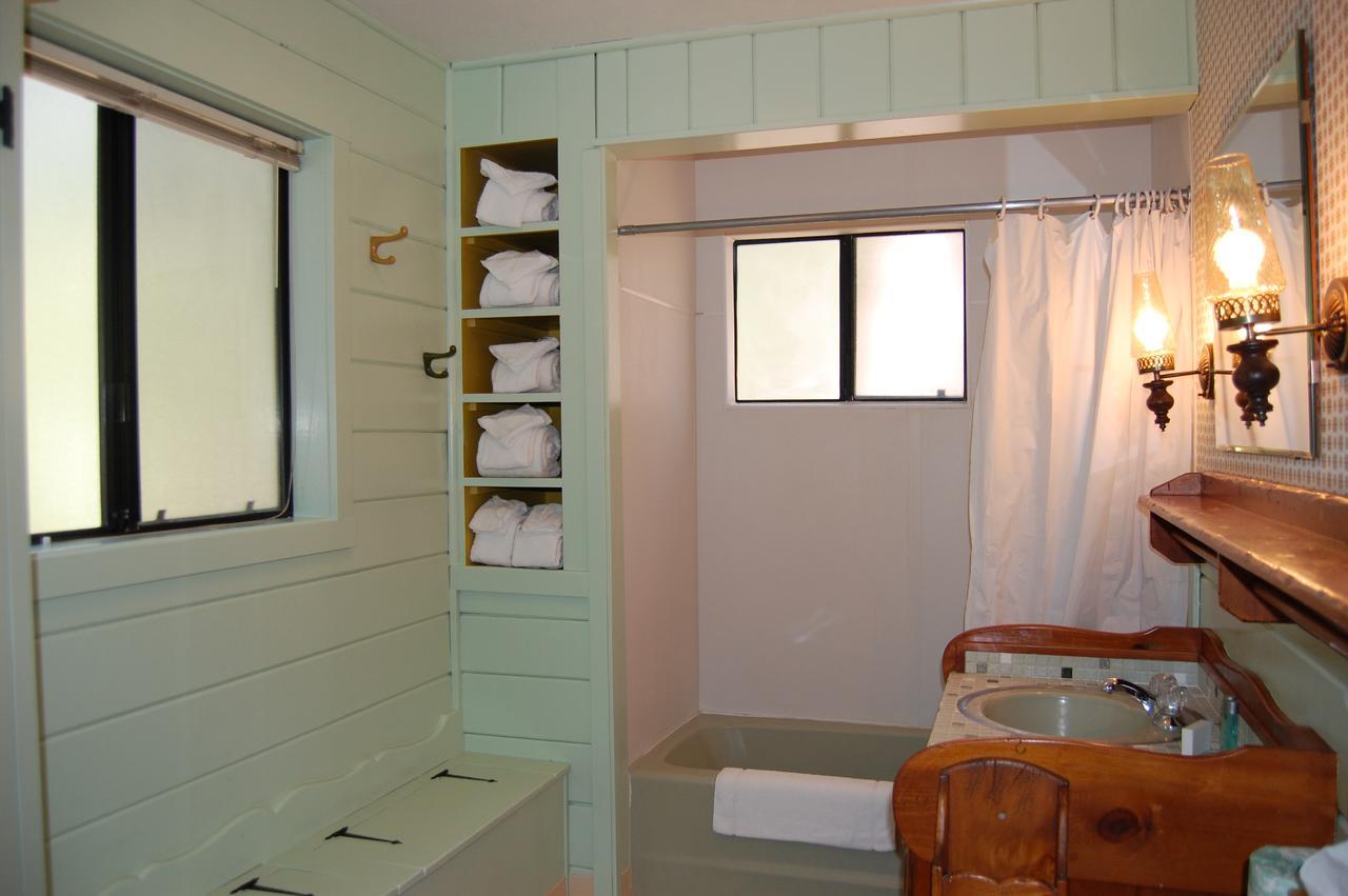 9S Pine Cabin South Wawona エクステリア 写真