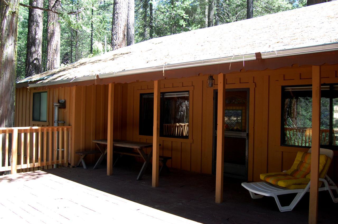 9S Pine Cabin South Wawona エクステリア 写真